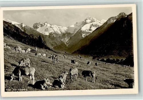 Oberstdorf am Kühberg Kühe