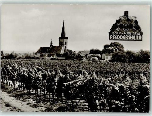 Pfeddersheim