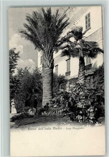 Isola Palme dell ´Isola Madre