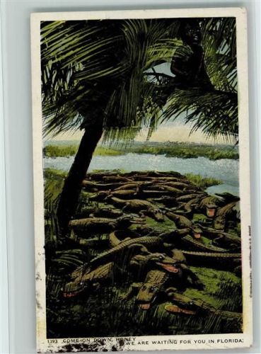 Alligator Farm in Florida 1919 AK