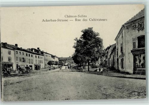 Chateau-Salins 1915 Ackerbau Strasse - Rue des Cultivateurs, gute Erhaltung AK