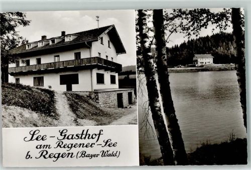 Regen Regener See See-Gasthaus