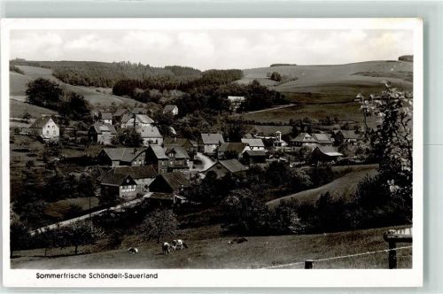 57413 W5950 Schöndelt , Sauerl - Rinderweide