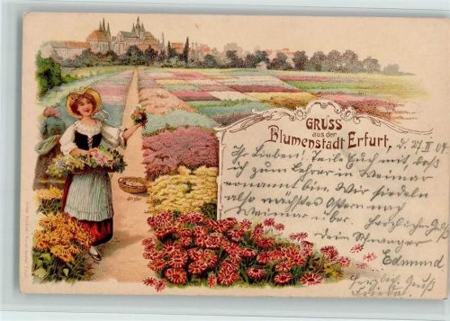 Erfurt Gruss aus - der Blumenstadt, gute Erhaltung AK