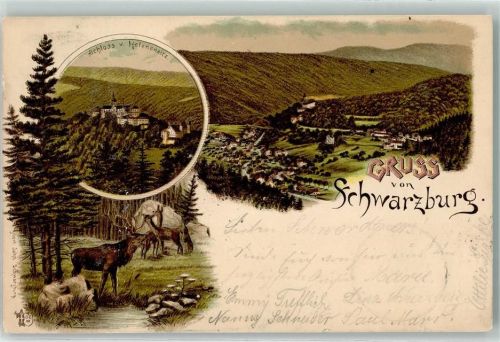 Schwarzburg 1899 Schloß v. Helenensitz Hirsch Rehe