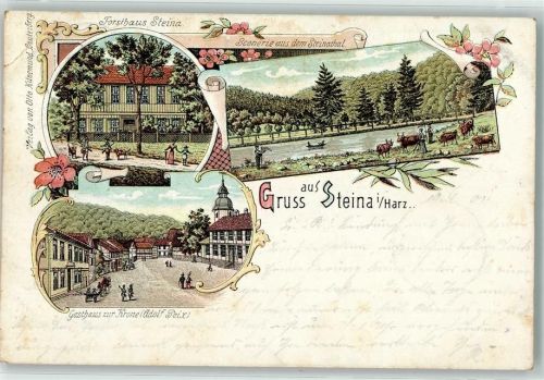 37441 W3423 Steina , Südharz 1901 Gebrauchsspuren Forsthaus Steinatal Rinderweide Gasthaus zur Krone Litho