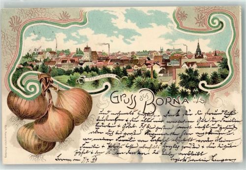 04552 O7200 Borna b Leipzig 1899 Lithographie Zwiebeln