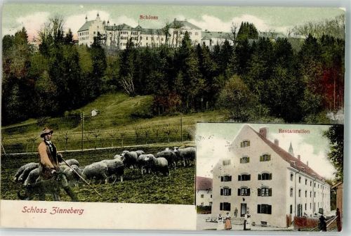 85625 W8019 Zinneberg , Kr Ebersberg, Oberbay 1905 - Schloß Zinneberg Schafherde Schäfer Gasthaus