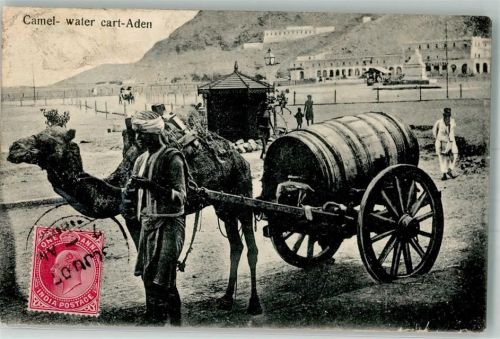 Aden 1907 Foto AK Kamel- Wasserkarren Tracht Briefmarke Bildseite