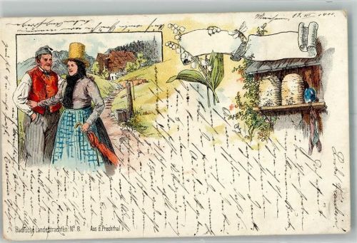 Badische Trachten Nr. 8 Bienenkörbe Biene 1900 Lithographie