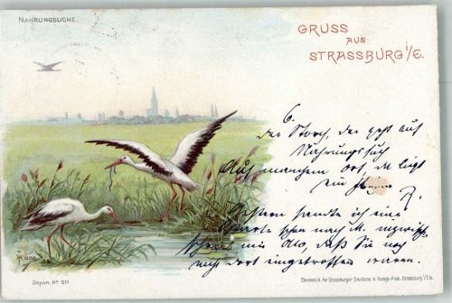 Strasbourg 1899 Störche Adelskorrespondens