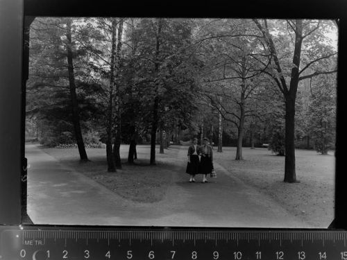 59555 W4780 Bad Waldliesborn GLASNEGATIV Kurpark