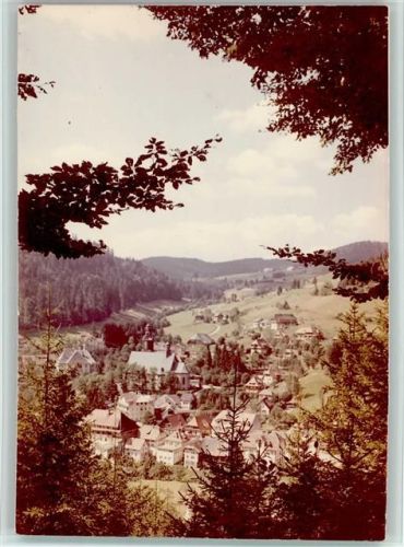 Todtmoos Ortsansicht 1959