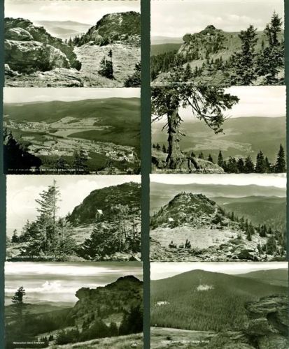 Grosser Arber Arber Landschaft Lot mit 12 AK, ca. 1953-1961: gute Erhaltung, teils gelaufen
