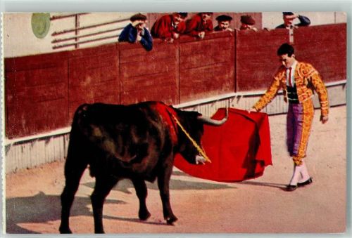 Stierkampfarena Picador mit rotem Tuch