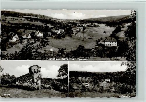 Wildensee Ortsansicht Kirche Waldpartie