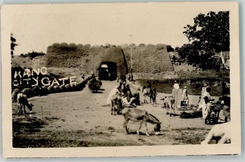 Kano - Stadttor Esel Kühe