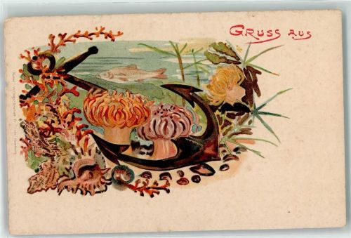 Gruss aus Anker Fisch AK Muschel 1900 Lithographie