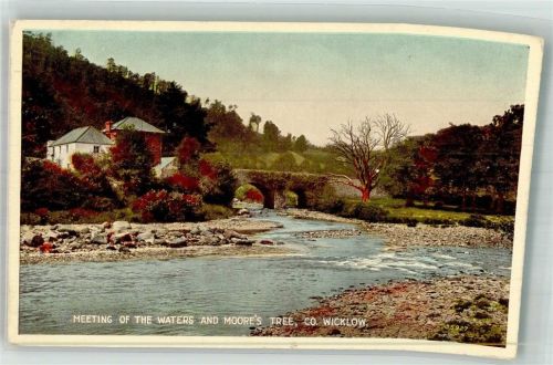 Wicklow Meeting of the Waters and Moores Tree