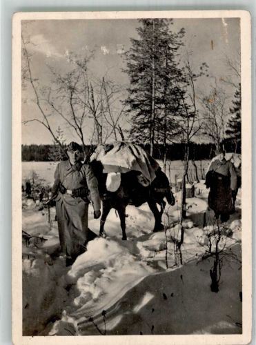 Kampf der SS-Gebirgsdivision Nord in Karelien , Winterpelze kommen SS Foto AK