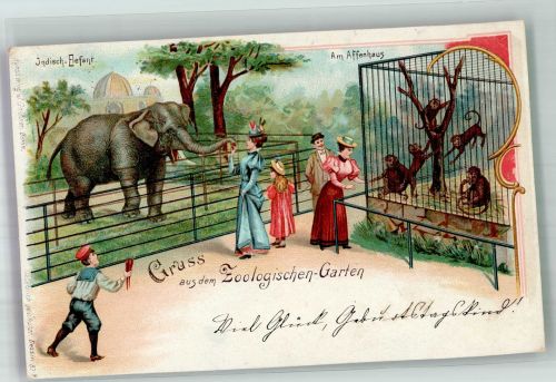 W1000 Berlin Mitte Gruss aus Affenhaus Elefant Verlag Goldiner Zoo 1898 Lithographie / Künstlerkarte