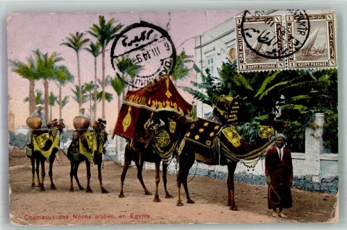 Kairo Cairo Tracht Kamele Marke bildseitig Volkstypen / Brauchtum Ägypten Gebrauchsspuren
