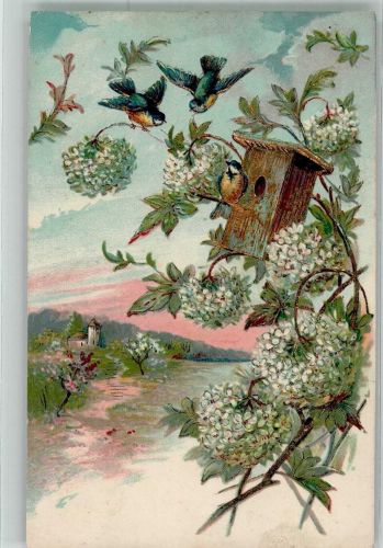 Vögel vor einem Vogelhäuschen im Fliederbusch Meise 1908 Prägedruck