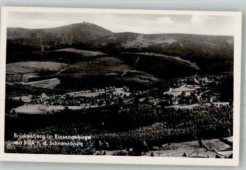 Brückenberg Karpacz Gorny Foto AK Riesengebirge freigeb. RLM