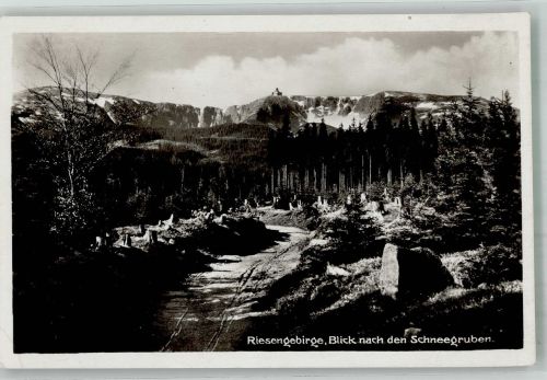 Hirschberg im Riesengebirge Jelenia Góra Foto AK Riesengebirge Blick zu den Schneegruben