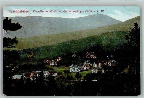 Krummhübel Karpacz 1909 Foto AK Ober-Krummhübel