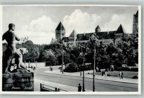 Posen Poznan Foto AK Schloss Denkmal