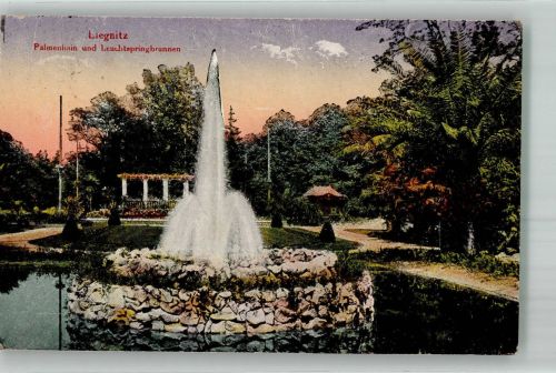 Liegnitz Legnica 1924 Foto AK Palmenhain Leuchtspringbrunnen