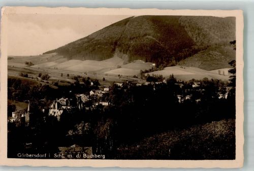 Görbersdorf i Schl Sokolomsko Foto AK Buchberg