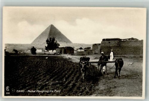 Kairo Cairo Foto AK Tracht Bauer beim Pflügen Pyramide