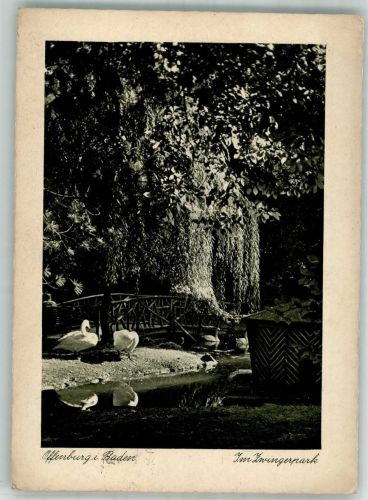 77652 W7600 Offenburg Foto AK Im Zwingerpark