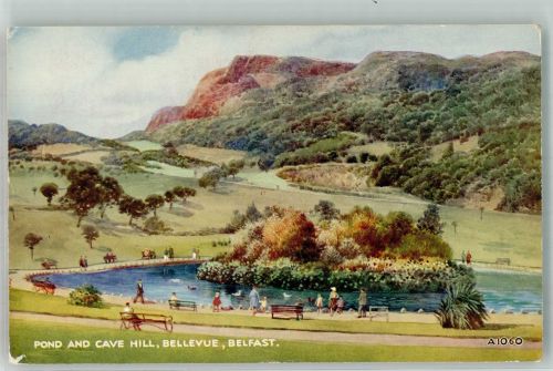 Belfast Künstlerkarte Pond and Cave Hill Bellevue