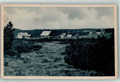 Bad Flinsberg Swieradow-Sdroj 1925 Foto AK Gross-Iser
