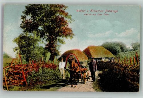 Lemberg Lwow Foto AK Bauernhaus Russland- Polen Pferdewagen