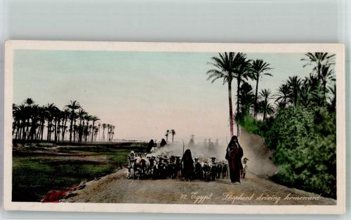 Kairo Cairo Foto AK Schafe Ziege Tracht