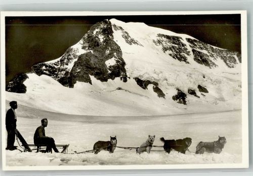 Polarhunde Jungfraujoch Husky Hundeschlitten