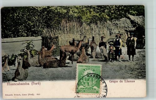 Lima Foto AK Gruppe Lamas Tracht Marke bildseitig Huancabamba