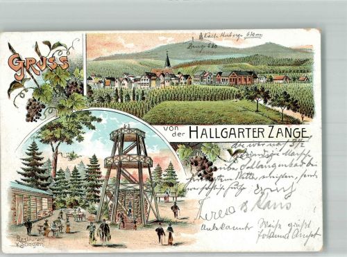 65375 W6227 Hallgarten , Rheingau 1904 Lithographie Hallgartener Zange Aussichtsturm Gasthaus Söngen
