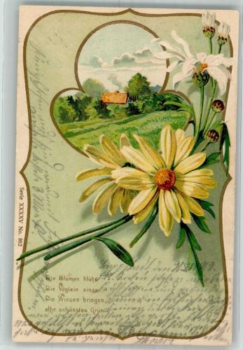 Margeriten Jugendstil 1902 Prägedruck
