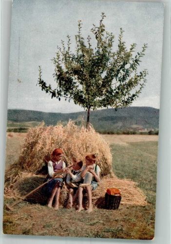 Kinder F.Ph.G. Künstlerkarte Nr. 2952 Serie 51 Farben Fotos