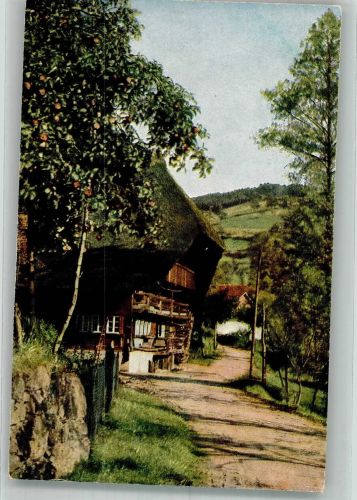 Bauernhaus F.Ph.G. Künstlerkarte Nr. 4248 Serie 216 Farben Fotos