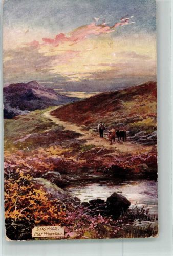 Oilette Picturesque Dartmoor Series IV Postcard 7748 Princetown Tucks 1908 Künstlerkarte