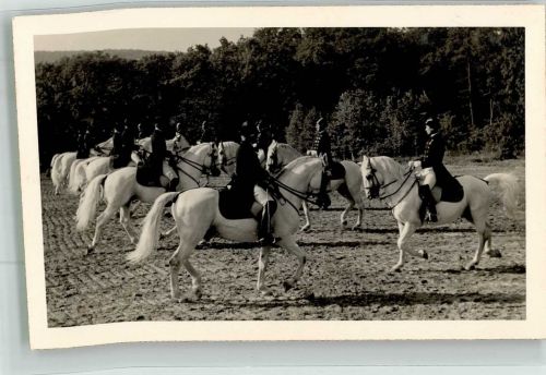 Wien 1. Bezirk, Innere Stadt Große Schulquadrille Spanische Reitschule