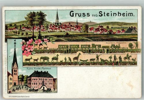 32839 W4939 Steinheim , Westf 1910 Lithographie Kath. Kirche Rathaus Hecken-Figuren