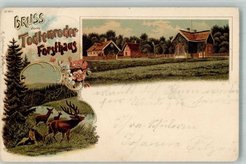 06502 O4308 Thale 1899 Gebrauchsspuren Lithographie Todtenroder Forsthaus Hirsch Hirschkühe