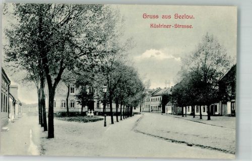 15306 O1210 Seelow 1907 - Küstriner Strasse